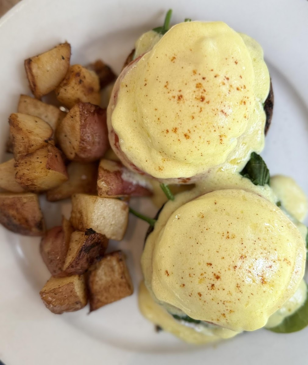 Ipswich Inn Cafe Photos 2